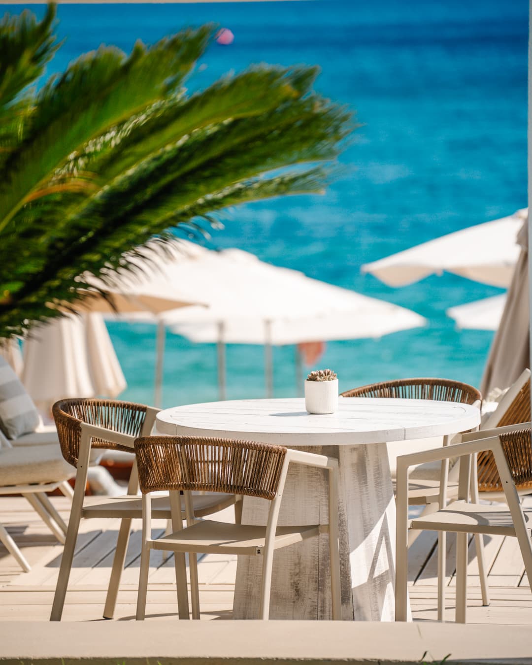 Beachside dining